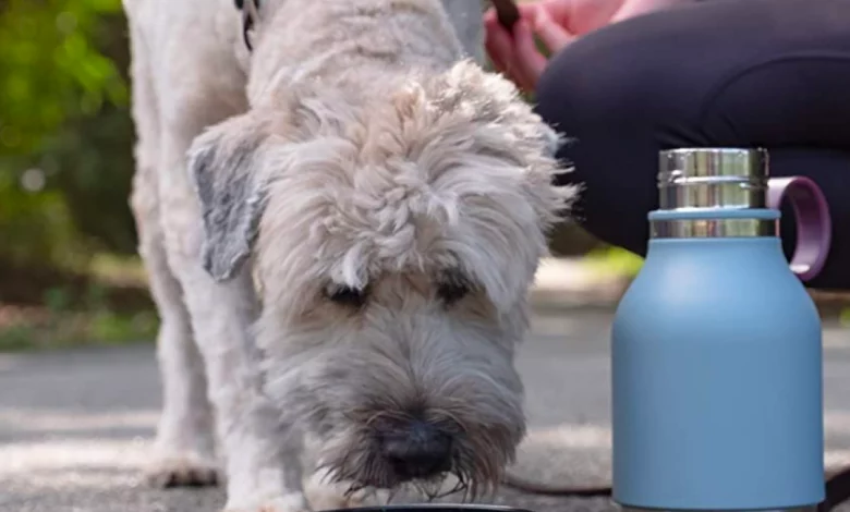 dog water bottle asobubottle.com